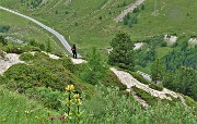 66 Vediamo bene la strada del Julierpass